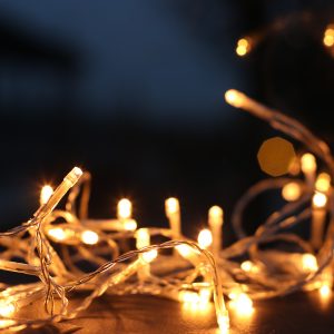 Tips for Easy Holiday Lights - Paint Covered Overalls - Shefter, Stuart - Durham North Carolina