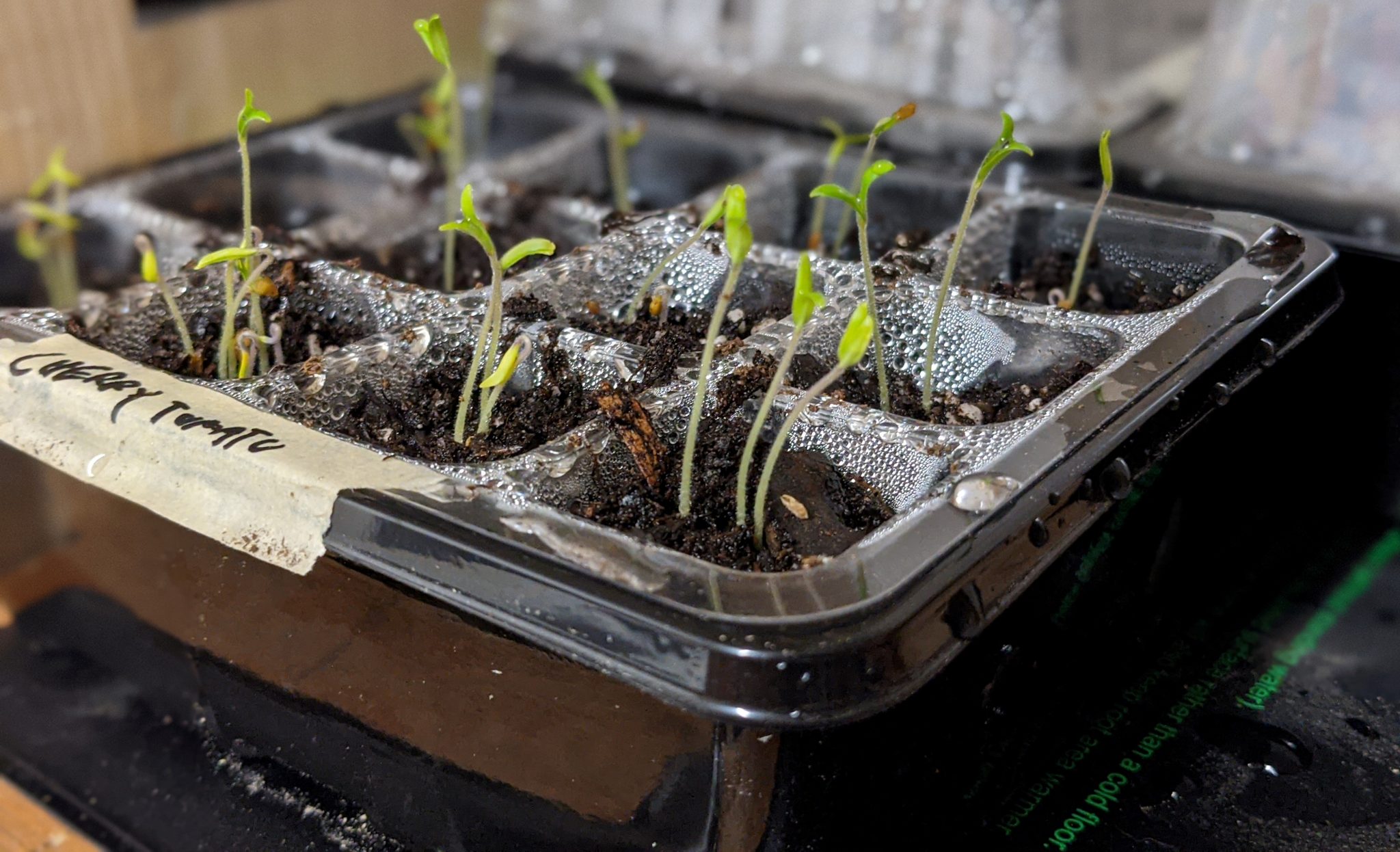 Heirloom, OpenPollinated, and Hybrid Paint Covered Overalls