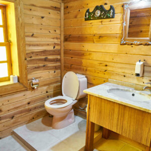 Everything You Need To Know About Toilets - Paint Covered Overalls - Durham North Carolina