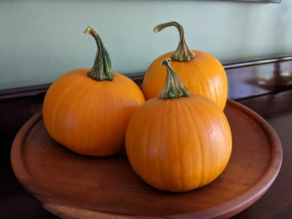 Fall Decorations - Pumpkins - Paint Covered Overalls - Durham, North Carolina