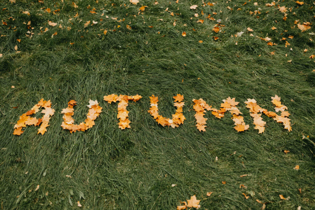 Fall Leaves - Paint Covered Overalls - Durham North Carolina