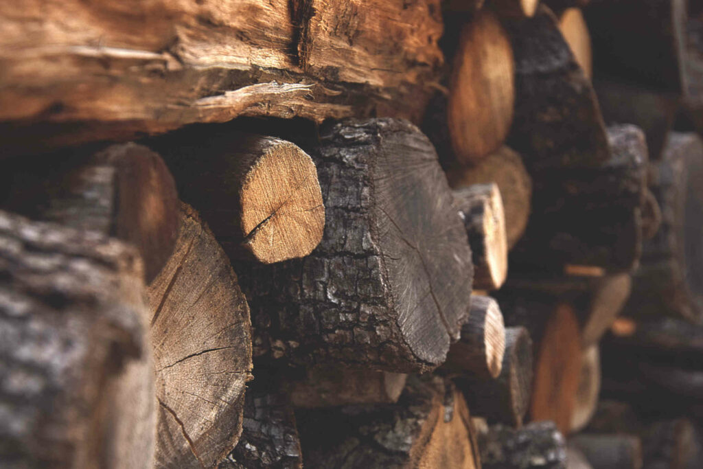 Firewood - Paint Covered Overalls - Durham North Carolina